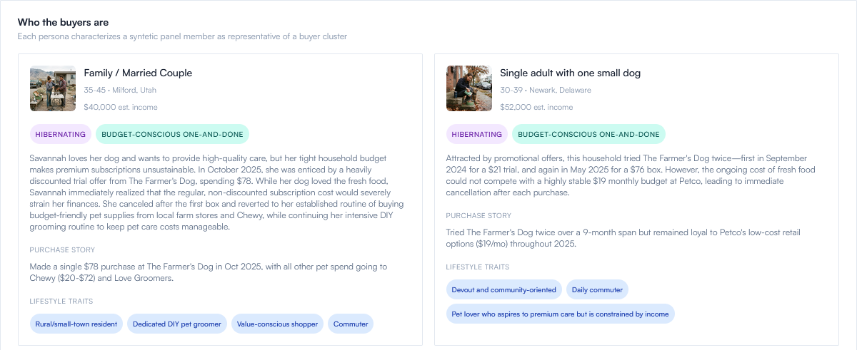 AI persona cards describing two buyer households with purchase stories and lifestyle traits